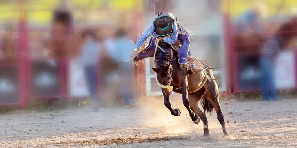 Big Bear Rodeo 1 00588cdef1e3d54756582b576359604b